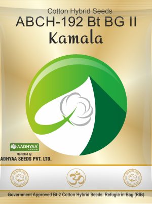 Cotton Kamala -192