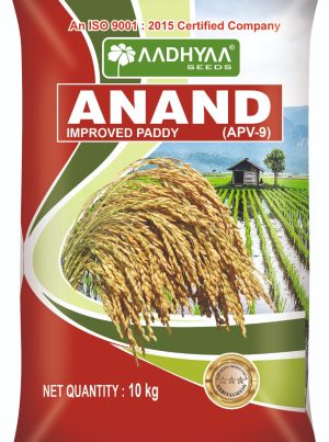 Paddy Anand