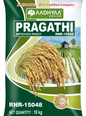 Paddy Pragathi