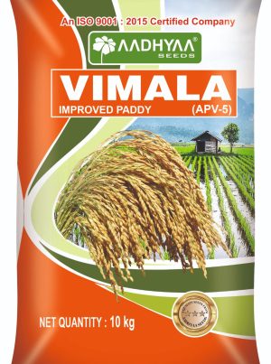 Paddy Vimala