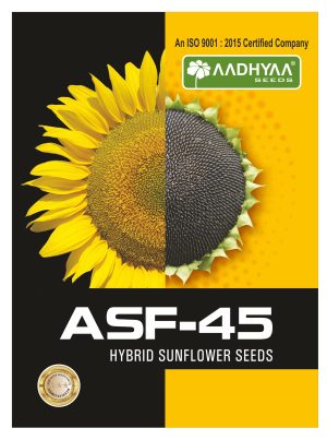 Sun Flower SF - 45